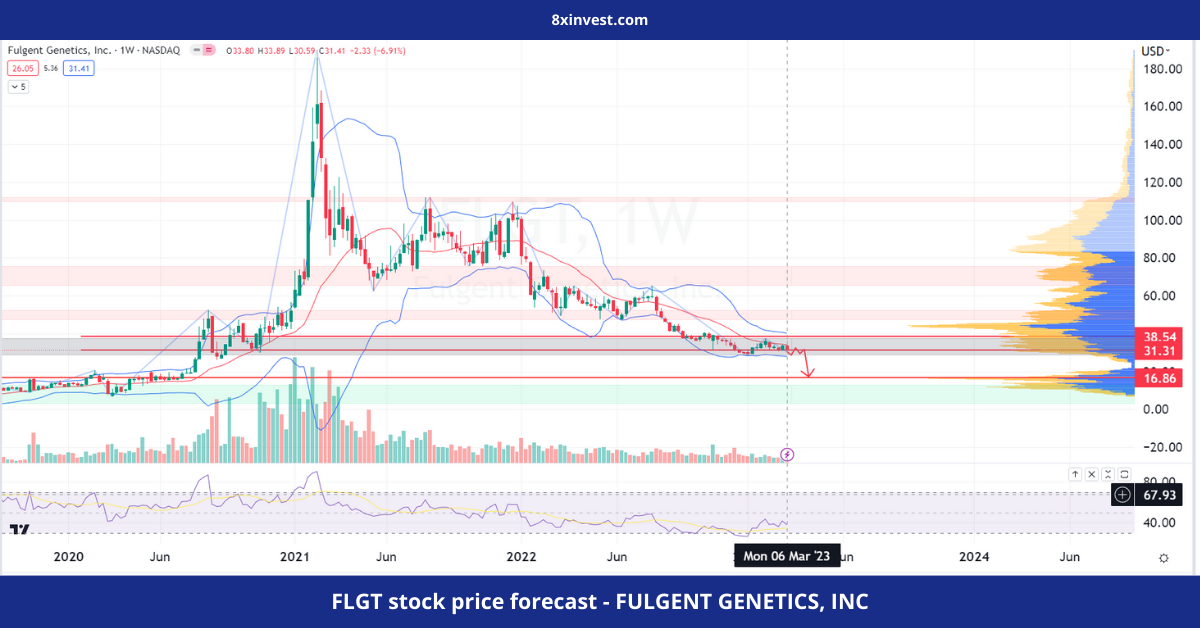 FLGT stock price forecast - FULGENT GENETICS, INC - 8xinvest.com